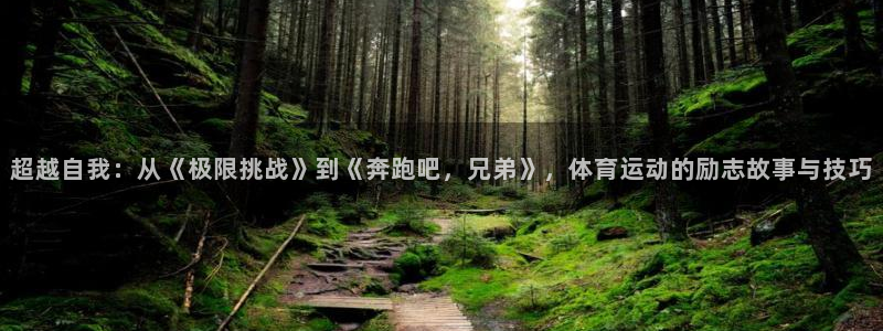 球速体育