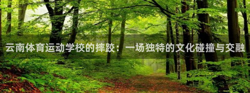 球速体育