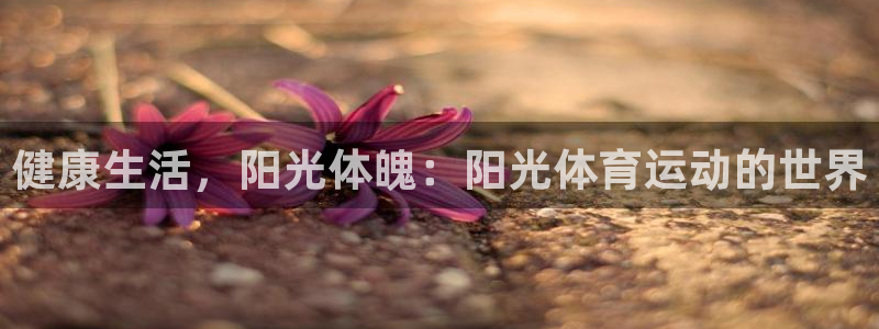 球速体育：健康生活，阳光体魄：阳光体育运动的世界