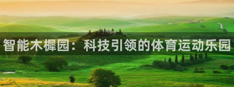 球速体育：智能木樨园：科技引领的体育运动乐园