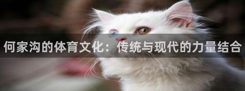 球速体育：何家沟的体育文化：传统与现代的力量结合